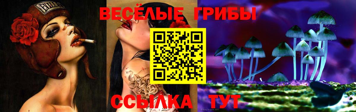 Псилоцибиновые грибы MAGIC MUSHROOMS  Вход с VPN  Новокубанск 